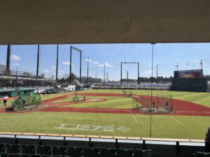 ジャイアンツタウンスタジアム