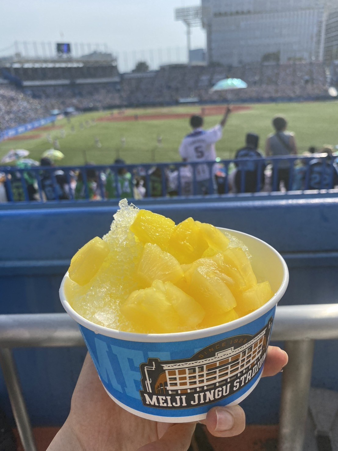 神宮球場の凍らせパイン