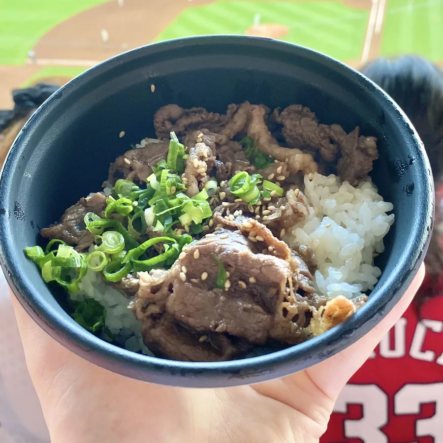 球場グルメの牛丼